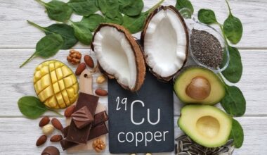 Lab trials prove copper therapy enhances cognitive function and spatial learning