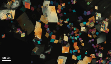 Chemistry in Pictures: Quantum carbenes