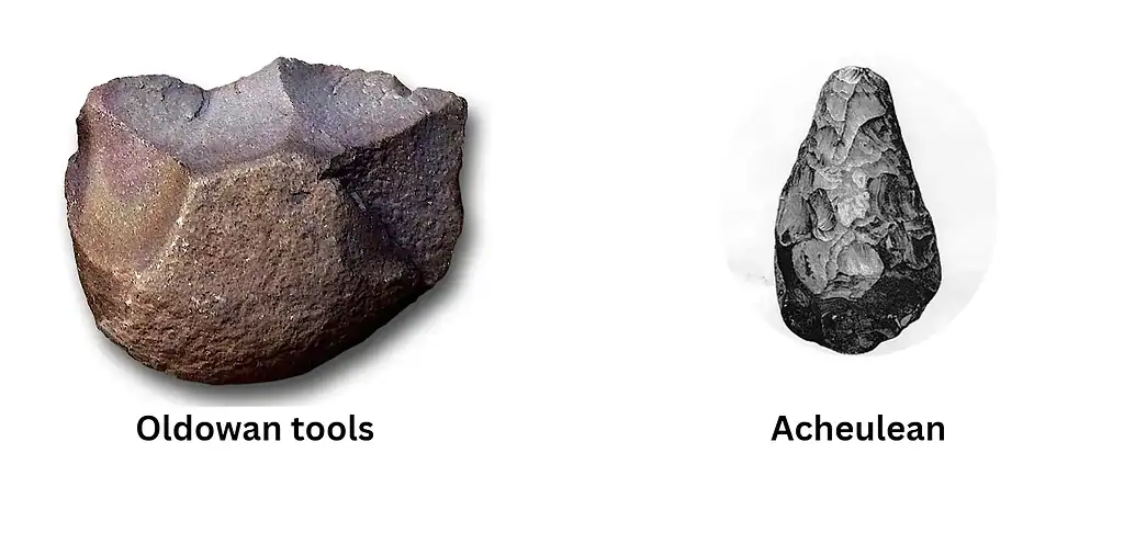 Ancient stone tools and Acheulean handaxe from early human history, showcasing early technological d.