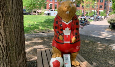Toronto’s Great Beaver Quest turns World Cup visitors into statue hunters