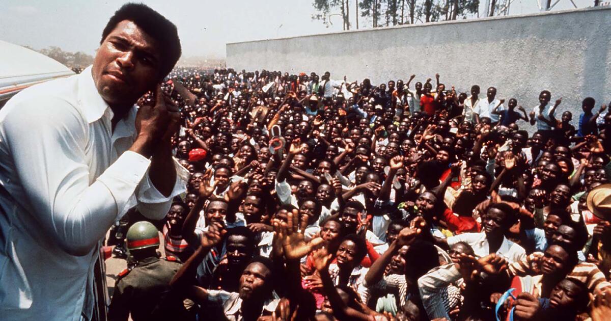 Muhammad Ali rumbles in the jungle, plus the week's best films