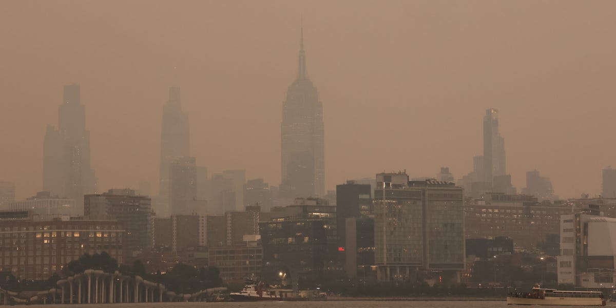 What Is the AQI? Air Quality Index Scale, What It Is, How to Read It