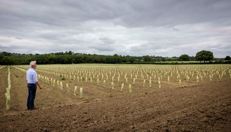 Paulus Willem Heemskerk's Fennor estate spans more than 100 hectares on the banks of the river Boyne. Photograph: Chris Bellew/Fennell Photography