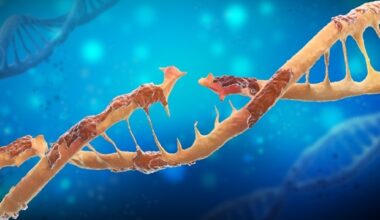 Study links inherited genetics to cancer susceptibility and progression