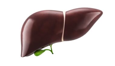New drug candidate treats severe fatty liver disease by improving gut health