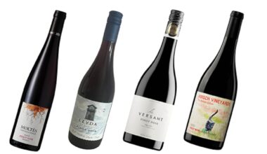 A pinot noir for every budget including one of my favourites – The Irish Times