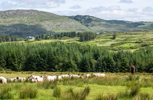 Planning laws: Rural Ireland needs young families to stay there, otherwise it won't survive