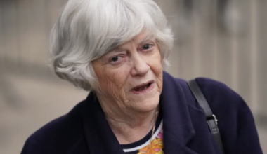 Man (28) arrested on suspicion of the murder of Ann Widdecombe - The Journal