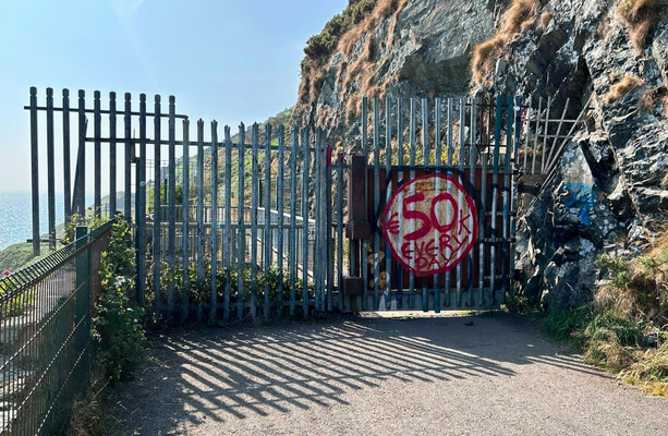 Bray-Greystones cliff walk barriers have injured more people than the landslides have, TD says