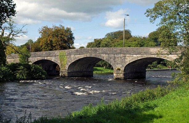 IFI following 'definite line of inquiry' as number of dead fish now estimated to be 7,500