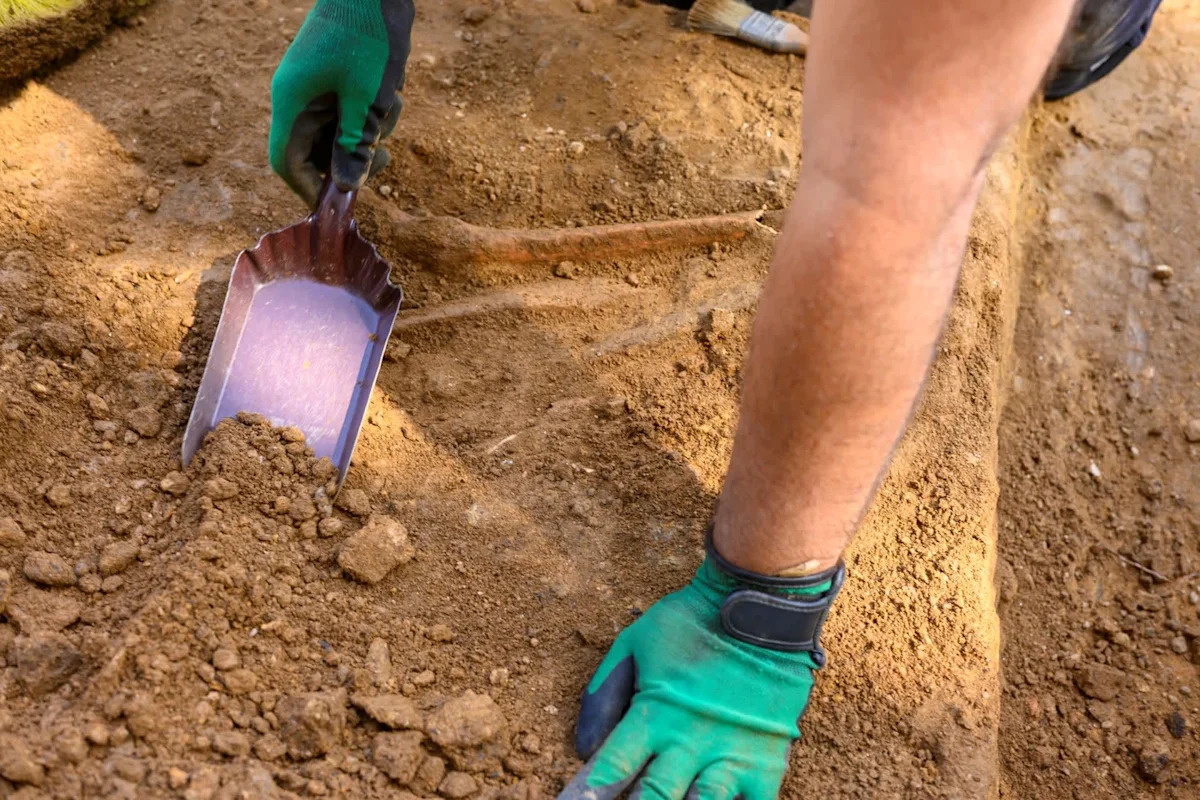 Australian fossils reveal 550-million-year-old animal may be the first known right-hander