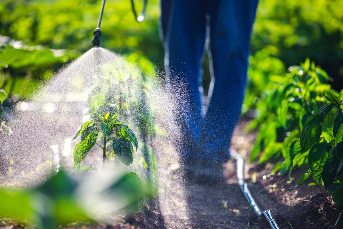 Six children in a wealthy suburb developed rare cancers. Authorities are eyeing pesticides