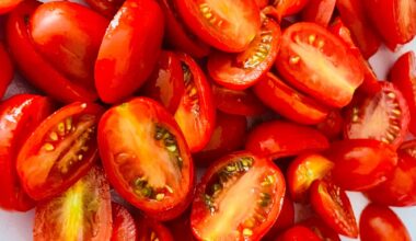 Effect of Tomato Consumption on Liver Steatosis in MASLD: A Randomized Controlled Trial (POMOSANO Study). Image Credit: Stephanie Laterza / Shuttertock