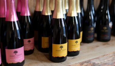 Drinks distributor drops ‘Irish’ wine over concern about accuracy of label – The Irish Times