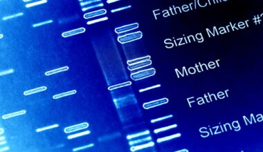 New genetic mutations linked to malaria drug resistance discovered