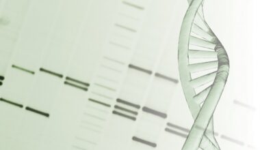 Researchers map DNA's physical code using large-scale simulations