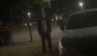Gardai Say Cat In The Hat Photos In Wexford Are AI Generated