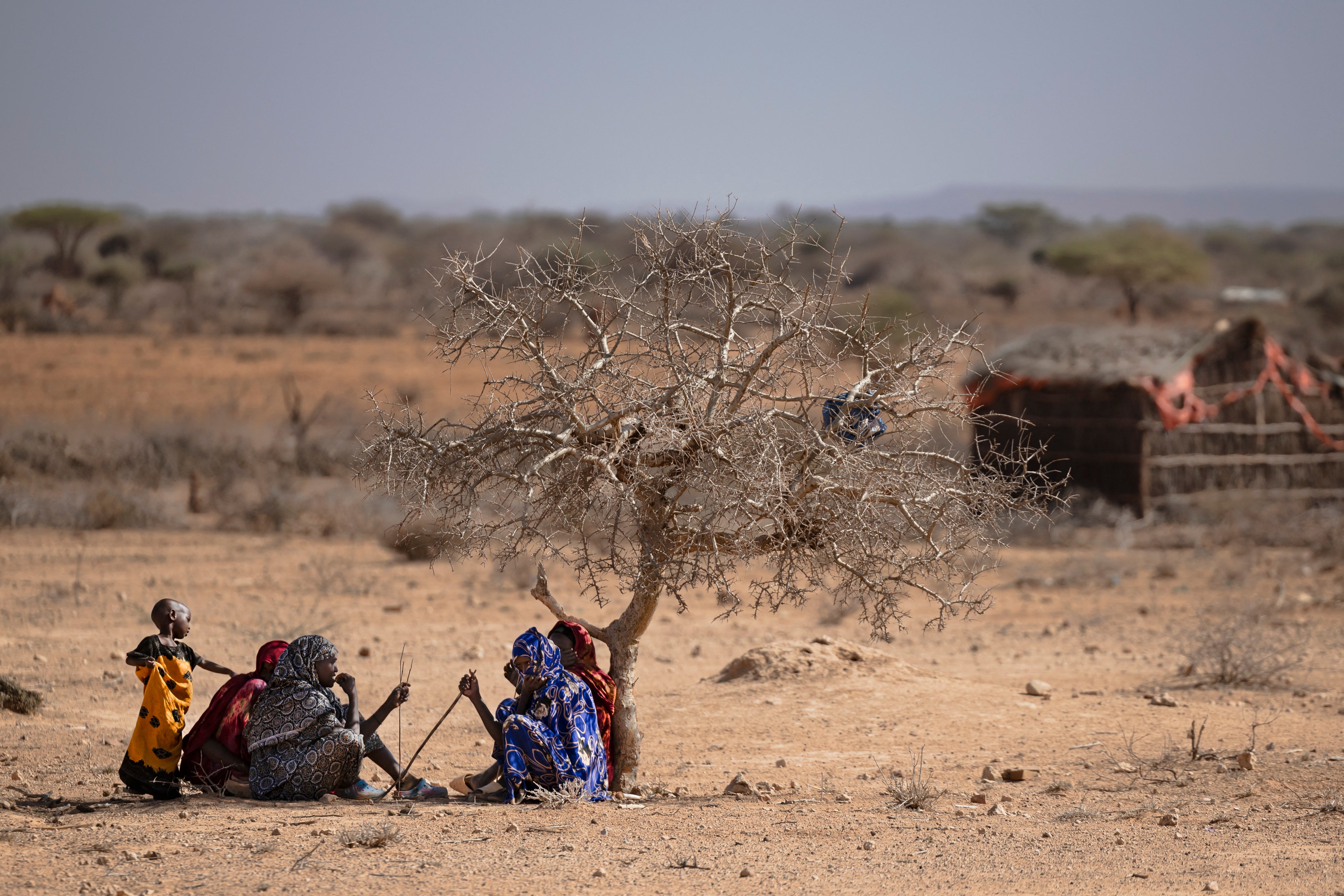 Women seek shelter from the morning sun in drought-hit Northern Kenya earlier this year. Kenya is among the countries in Sub-Saharan Africa set to be hit by the super El-Niño this year