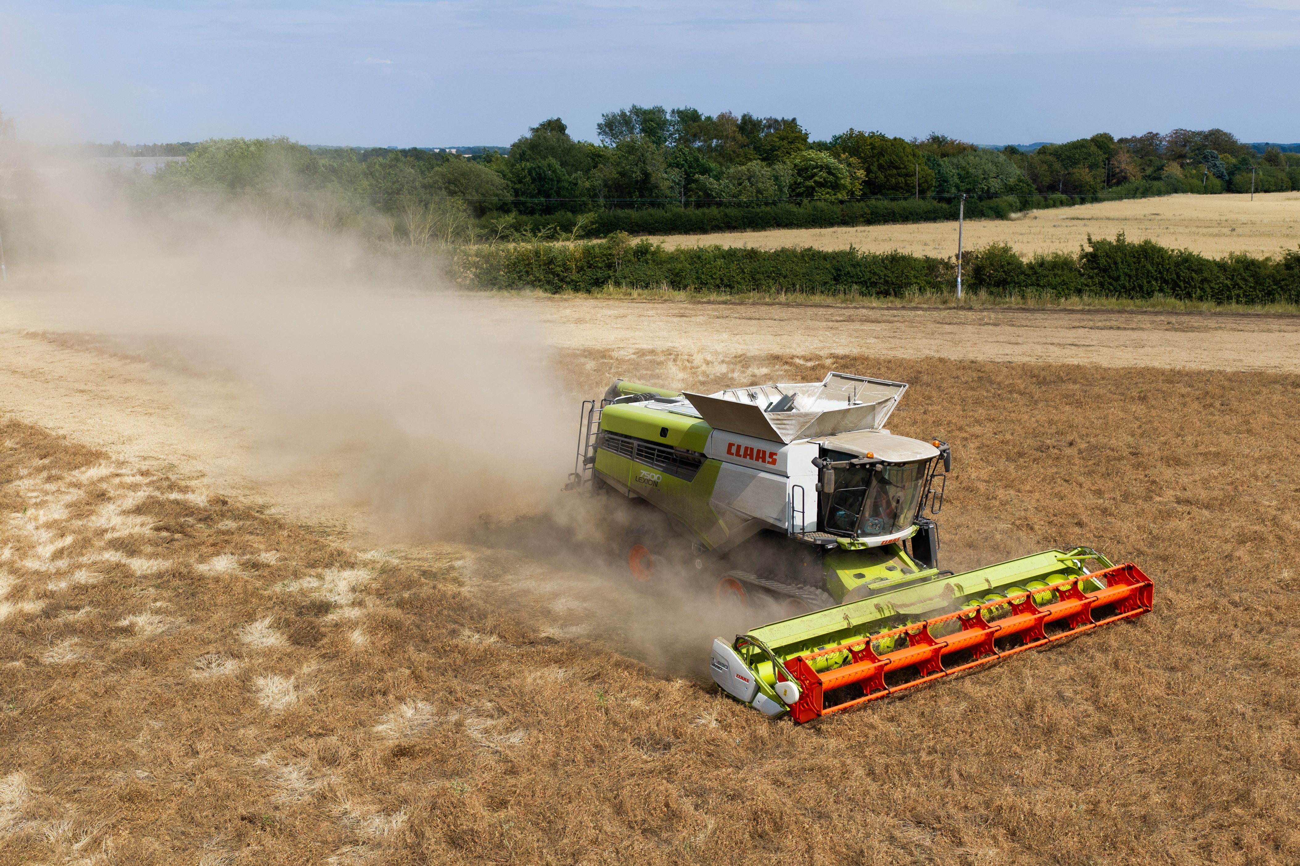 A combine harvester crosses parched fields in Suffolk