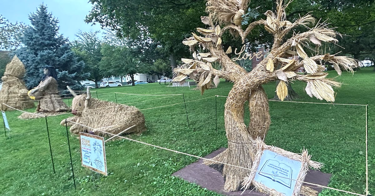 Pick the winner from 5 new straw sculptures at Mt. Morris event – Shaw Local