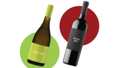 A ‘fantastic for the money’ white wine and a red to enjoy with tapas – The Irish Times