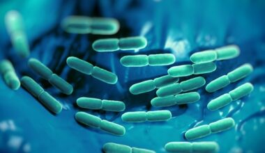 New mechanism linked to septic heart injury protection uncovered
