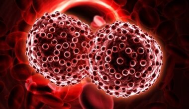 New study uncovers metabolic vulnerability in high-risk myelodysplastic syndromes
