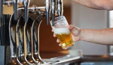 Irish pub-goers pay 11 times more tax on a pint than in Spain or Germany, research finds – The Irish Times