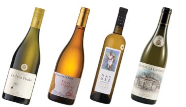 Your new favourite white wine might come from this lesser-known French region – The Irish Times