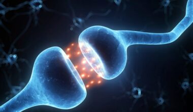 Inherited Neandertal gene variant increases muscle mass in modern humans