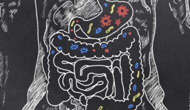 New analytical strategies can measure thousands of gut microbial proteins