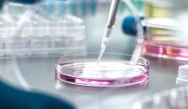 Turmeric for cognition, carotenoids and eye health in research news spotlight