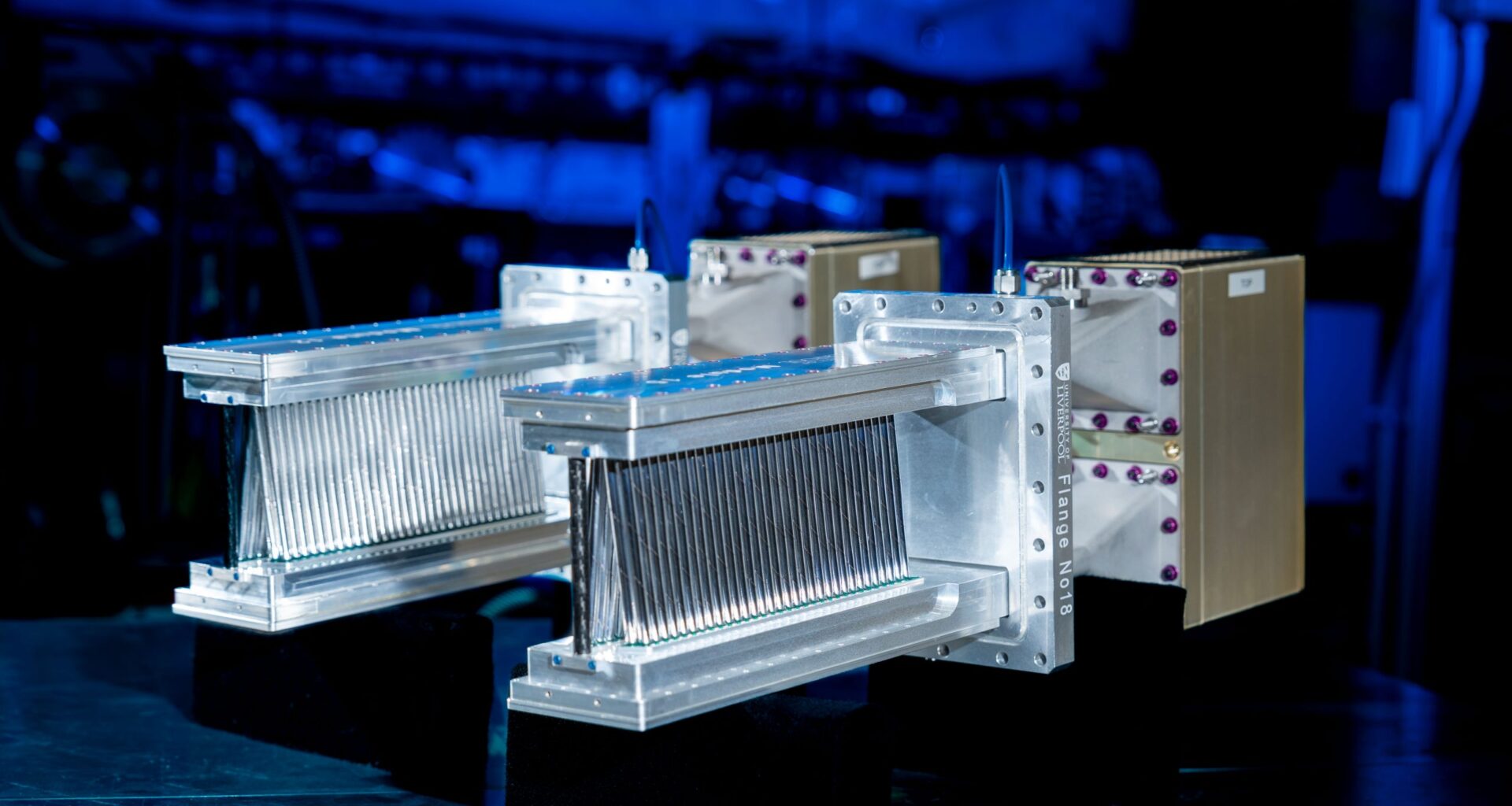 Muon g-2 experiment places new constraints on a forbidden property of muons