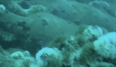 Divers find 2,100-year-old Roman shipwreck off coast of Sicily