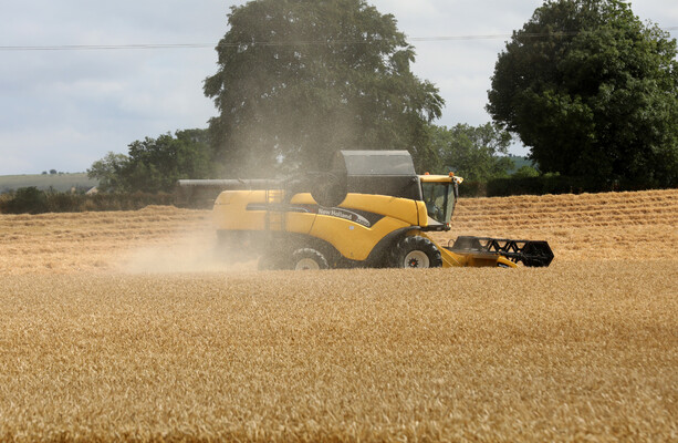 Farmer warns drought could drive up grocery prices later this year
