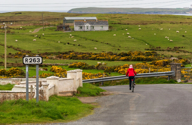 Letters to the editor · TheJournal.ie