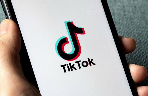 TikTok says it won't appear at Oireachtas committee over car theft gang videos