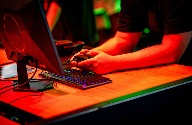 Organised crime groups using online gaming to 'radicalise' minors and make crime 'glamorous'