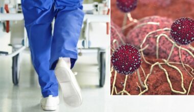Mould infection: Scientists sound alarm as lethal fungal infection kills a third of hospital patients