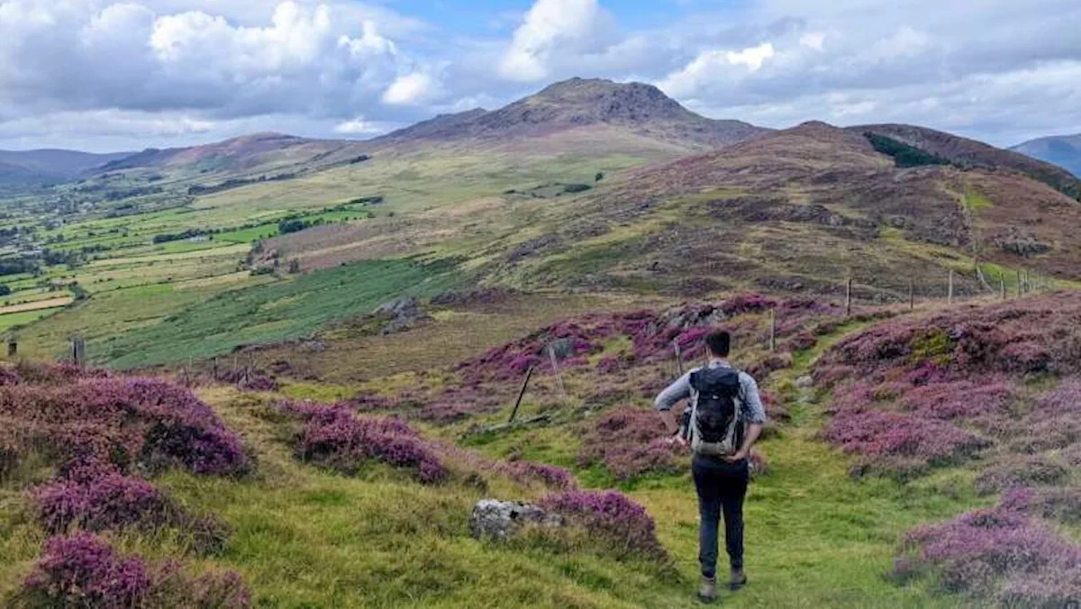 Ancient rocks in Ireland suggest volcanoes pulse between mush and melt before eruptions