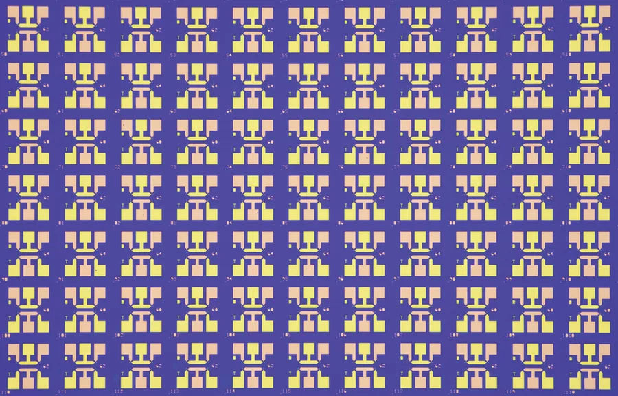 large-area optical microscope image