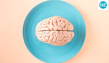 Which nutrients are essential for brain function? Neurologist Dr Rahul Chawla lists 5 and shares their food sources