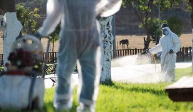 Five new cases of West Nile virus infections detected in Andalucía, taking the total to 26