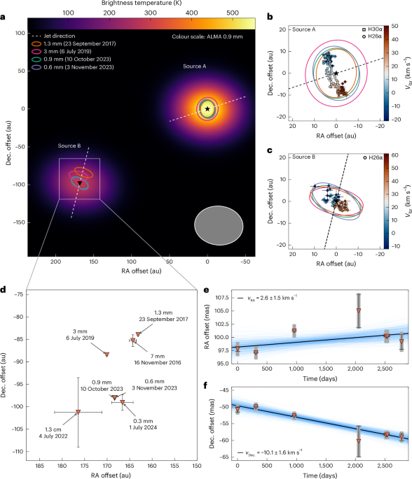 An eccentric massive protobinary assembled via a core-merger parabolic encounter