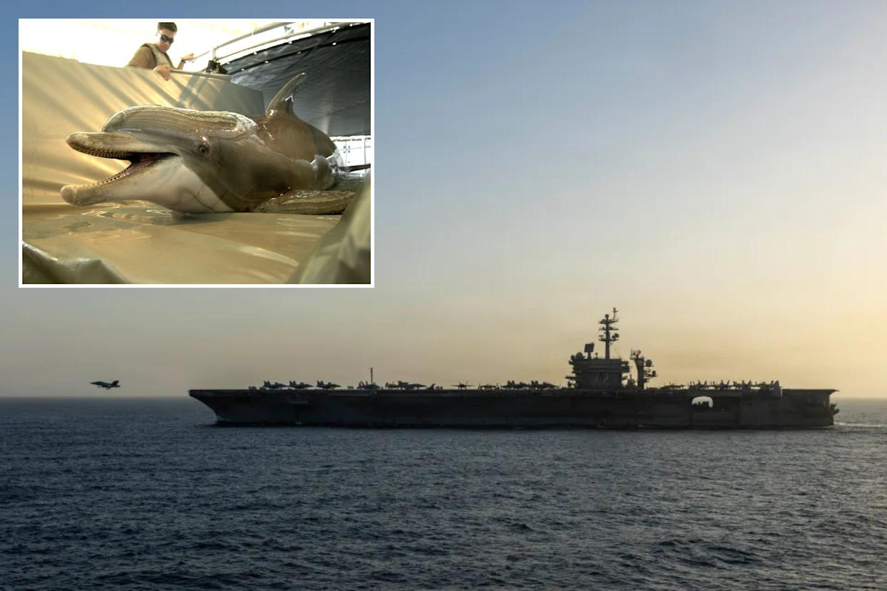 An image collage containing 2 images, Image 1 shows USS Abraham Lincoln (CVN 72) in the Arabian Sea with an F-35C stealth fighter taking off, Image 2 shows A dolphin with its mouth open on a transfer mat, with a person in the background