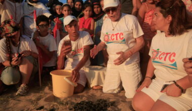 Grief in Lebanon after Israeli strike kills beloved sea turtle protector