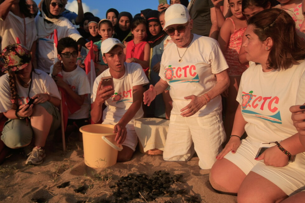 Grief in Lebanon after Israeli strike kills beloved sea turtle protector
