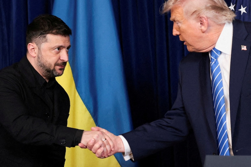 Volodymyr Zelensky shakes hands and leans forward while greeting Donald Trump.