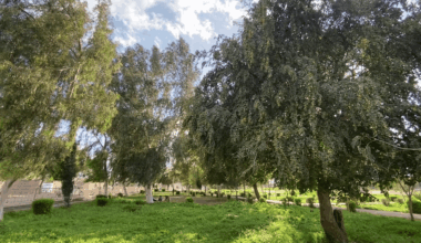 Iraqi cities to record temperatures in the 30s as summer heat eases slightly