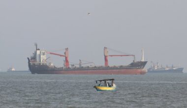 Container ship sinks after hitting mine in Strait of Hormuz, Iran's Guards claim